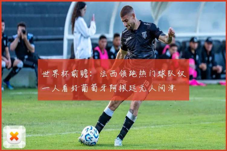 世界杯前瞻：法西领跑热门球队仅一人看好葡萄牙阿根廷无人问津