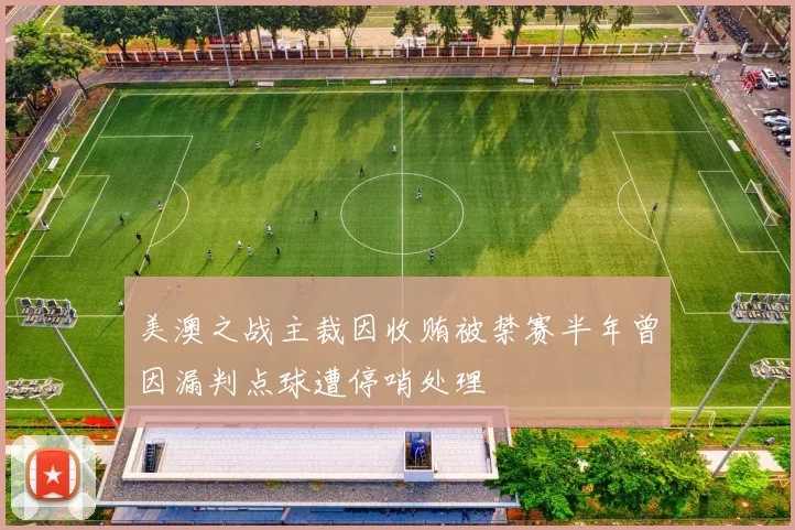 美澳之战主裁因收贿被禁赛半年曾因漏判点球遭停哨处理