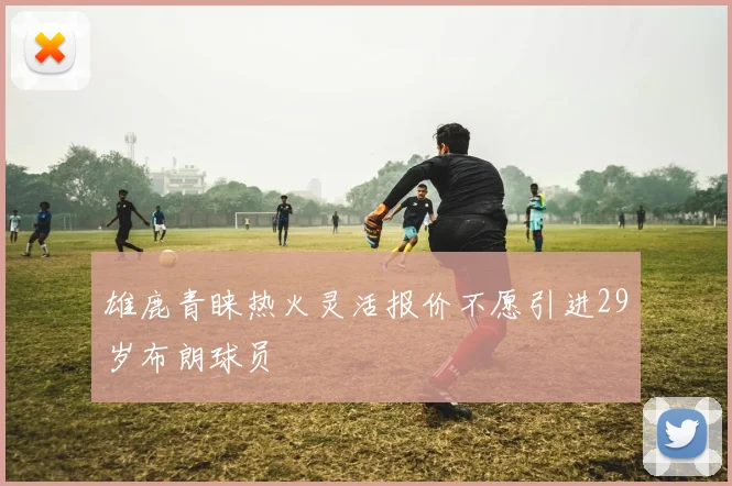 雄鹿青睐热火灵活报价不愿引进29岁布朗球员