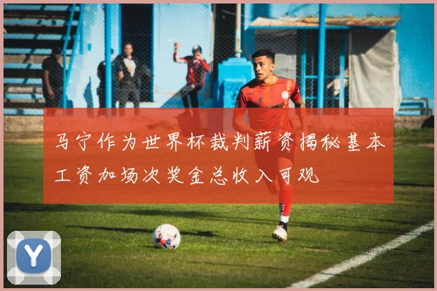 马宁作为世界杯裁判薪资揭秘基本工资加场次奖金总收入可观